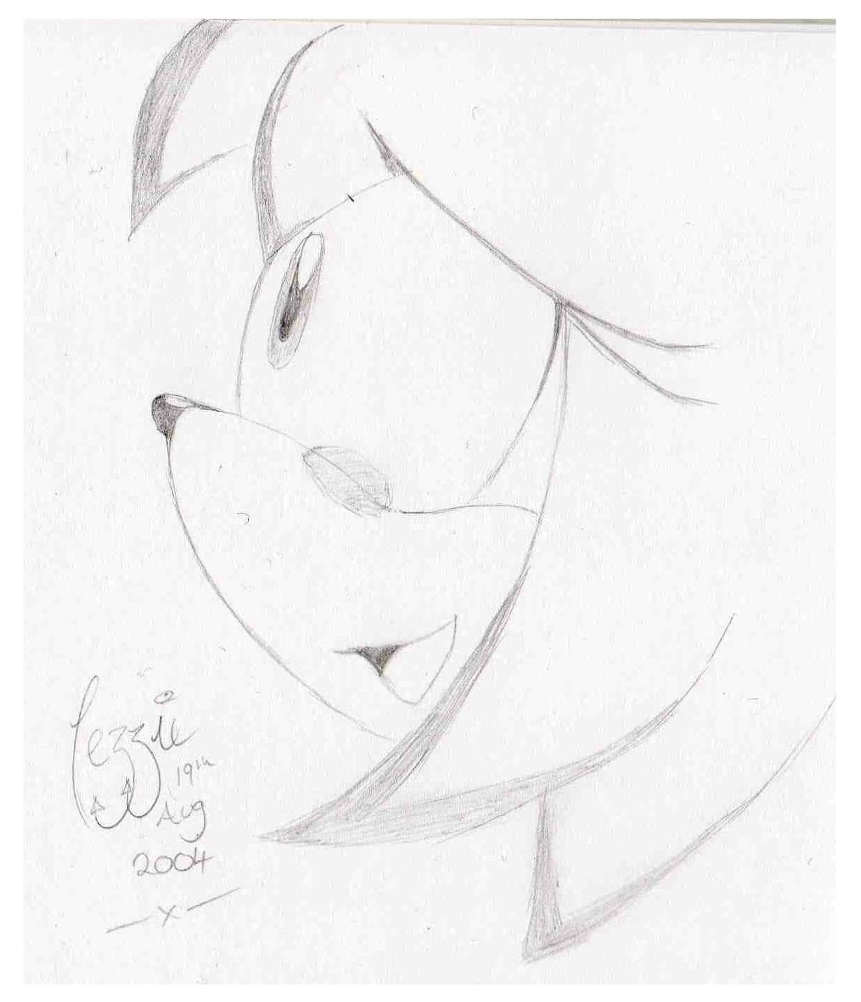 1227x1428 Amy Rose Tear By Cerenia