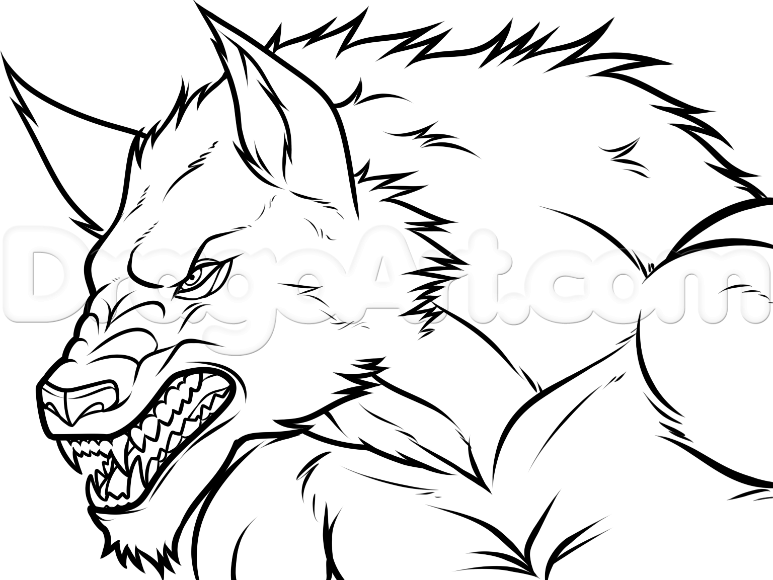 1536x1153 Werewolf Pictures To Draw