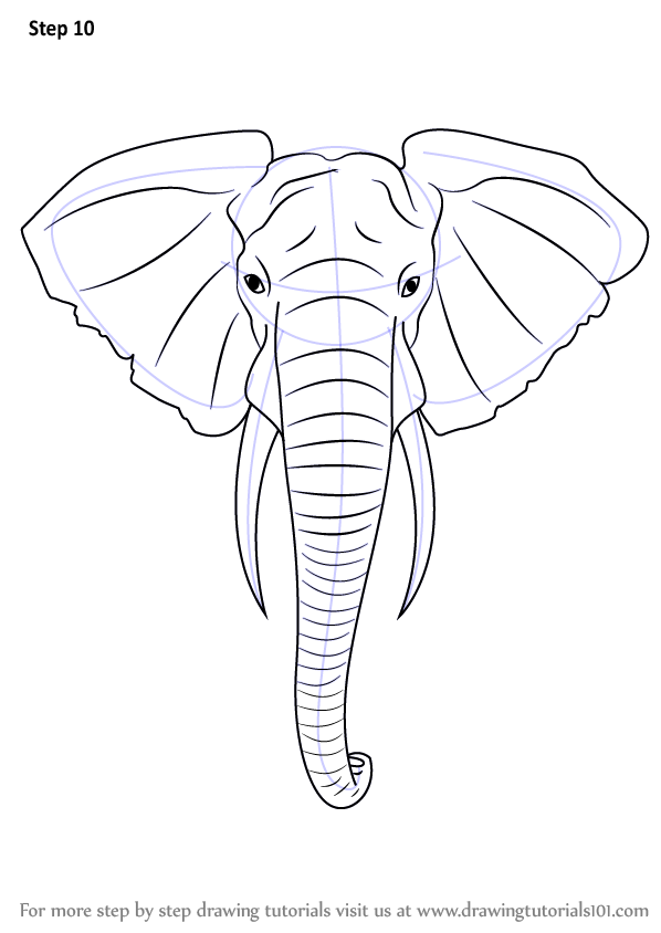 598x844 Learn How To Draw An Elephant Head (Zoo Animals) Step By Step