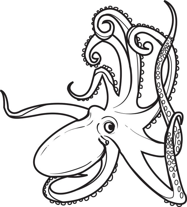 632x700 Free Printable Octopus Coloring Pages Colouring In Funny Print