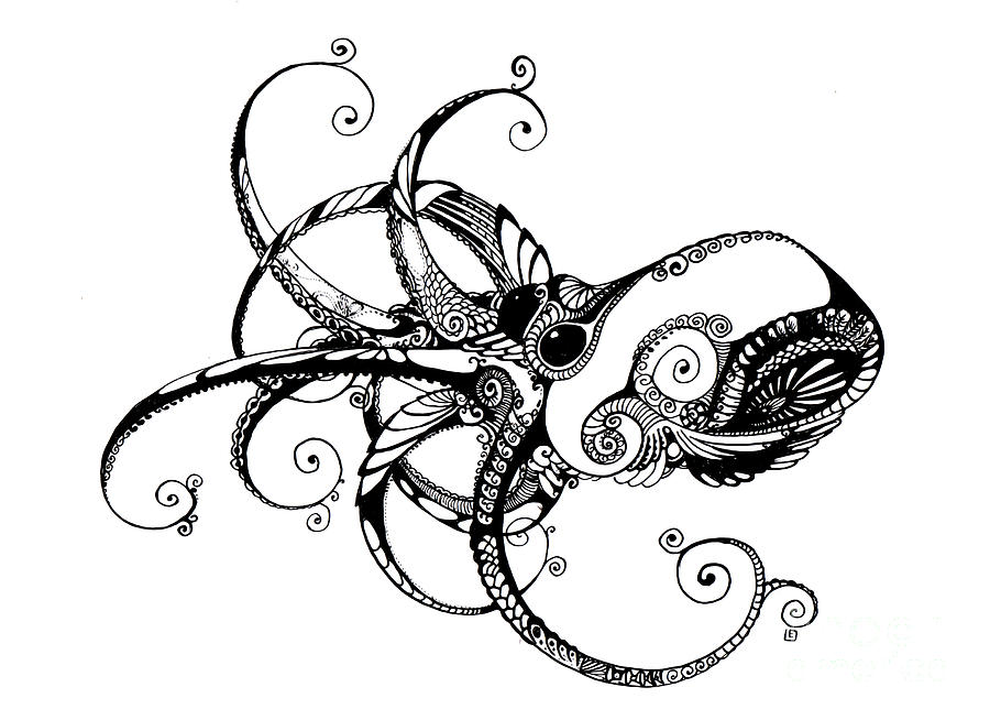 900x654 Octopus Drawing By Irina Yezhova