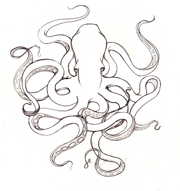 600x635 Octopus By Missmaritzarolli