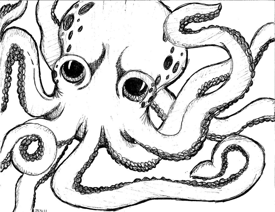 900x693 Original Octopus Sketch By Steffmiesterx13