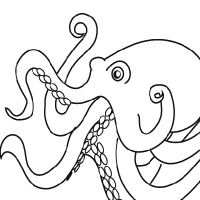 200x200 Drawing Octopus