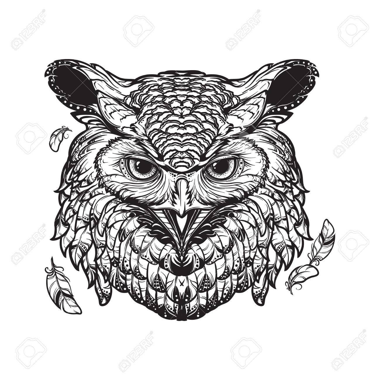 An Owl Drawing