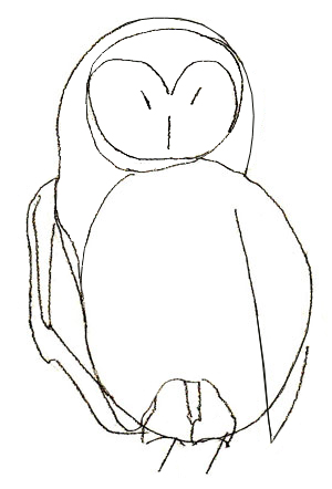 300x442 How To Draw An Owl