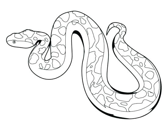 550x425 Boa Constrictor Coloring Page Anaconda Coloring Pages Boa