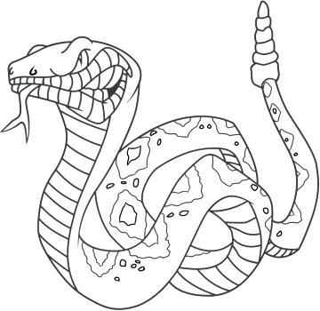 360x350 Anaconda Snake Coloring Pages Page Kids Best Coloring Pages