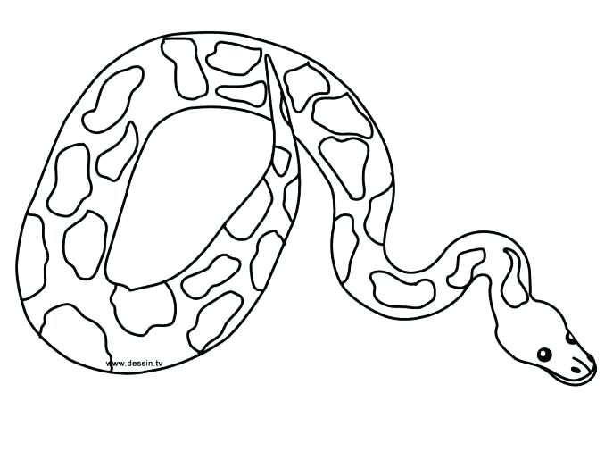 687x515 Boa Constrictor Coloring Page Anaconda Coloring Pages Great