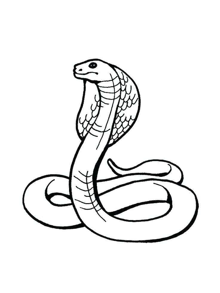 736x981 Snake Coloring Pages Learn Letter S For Snake Coloring Page