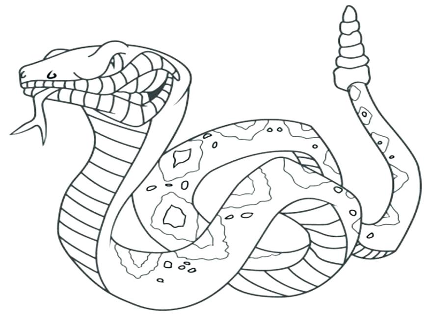 878x659 Snake Coloring Pages Snake Color Pages For Kids Anaconda Snake
