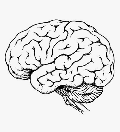 403x442 Draw It Neat Resources