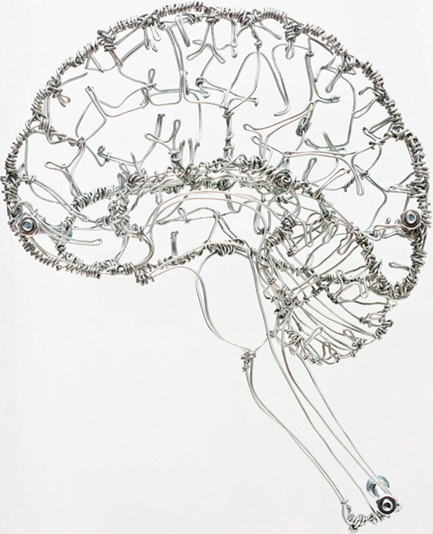 615x759 Federico Carbajal's Beautiful Wire Art Based On Human Anatomy