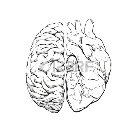 450x450 Human Brain Right And Left Hemisphere Illustration. Hand Drawn