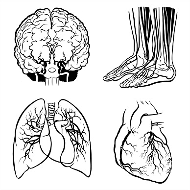 388x388 Juliet Percival