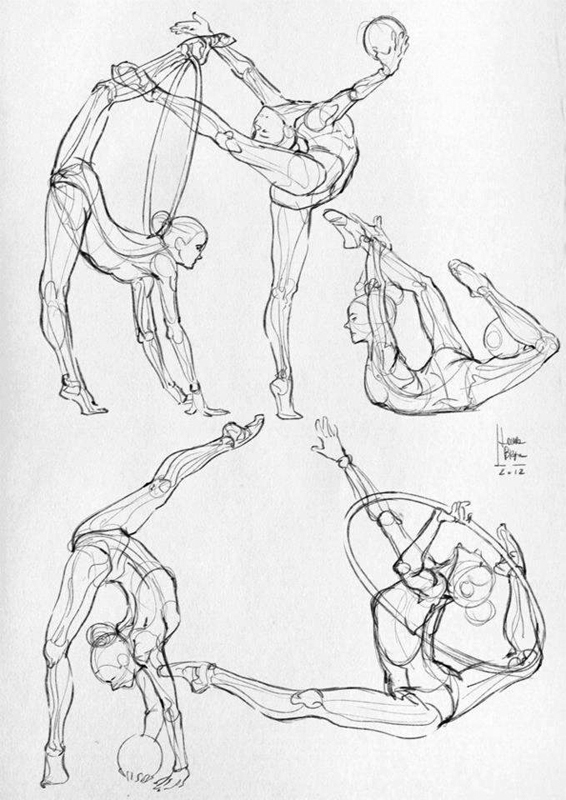 566x800 Some Anatomical Studies