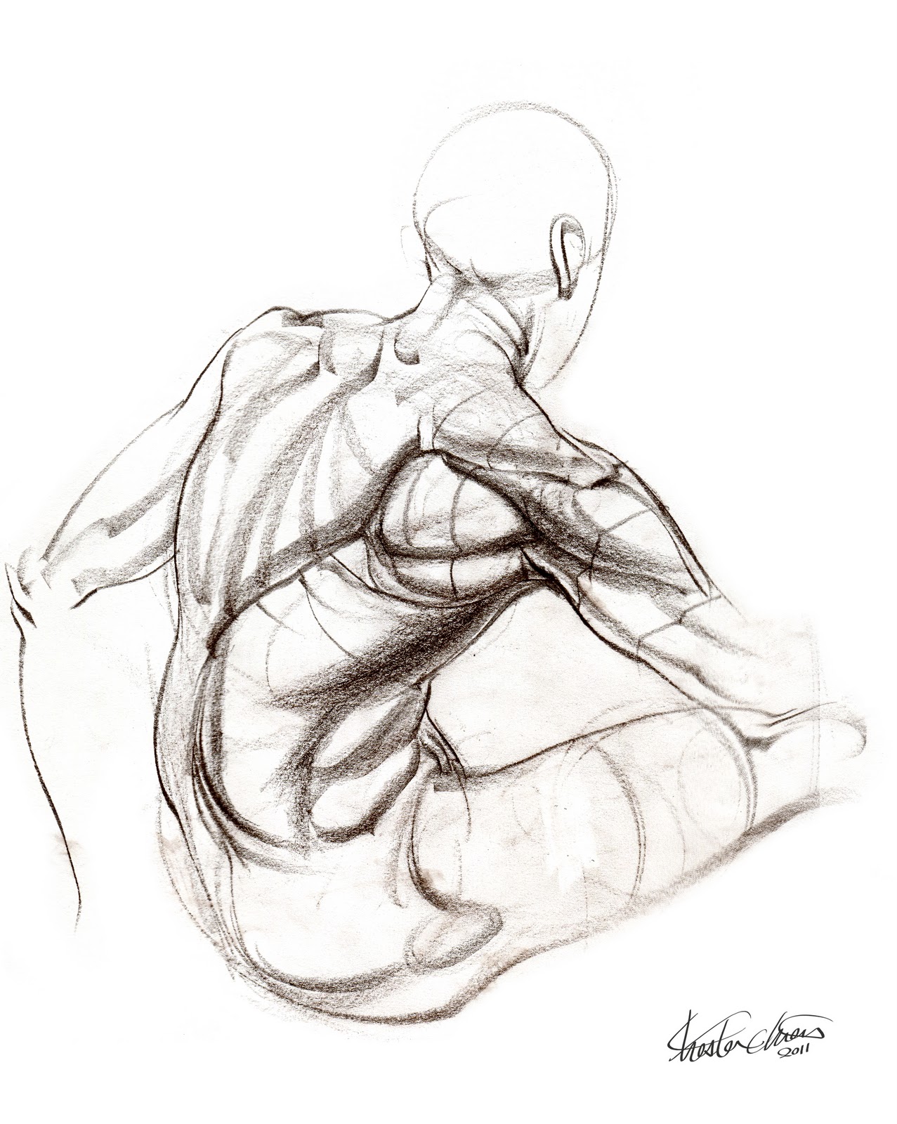 1277x1600 These Anatomy Studies Were From The Drawing Workshop In Our