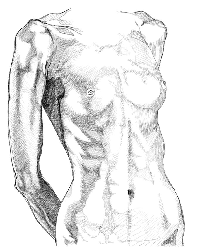700x851 Anatomy Human Body Sketches Scatches Notes Anatomy Drawings