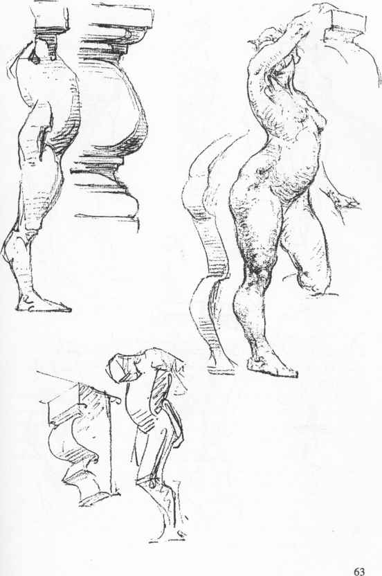 552x832 Anatomy Artist Landmarks