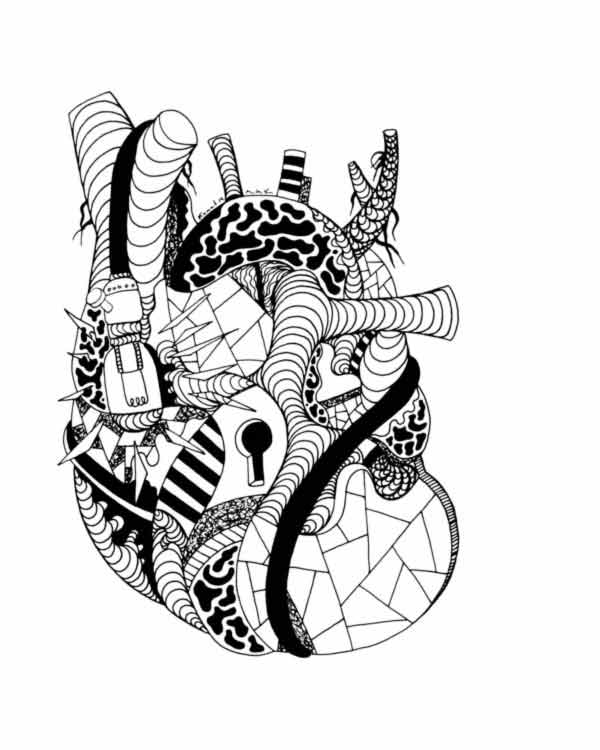 600x750 Anatomical Heart Art Black And White Pictures
