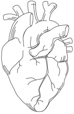 261x399 Painted Anatomical Heart Urban Threads Unique And Awesome