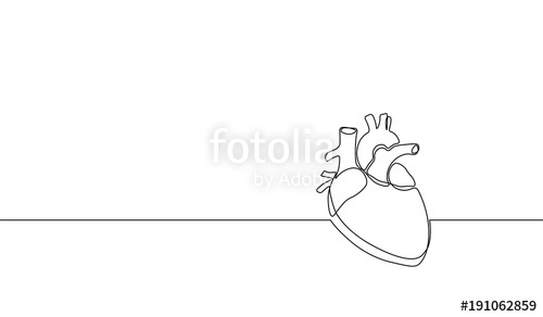 500x292 Single Continuous Line Art Anatomical Human Heart Silhouette