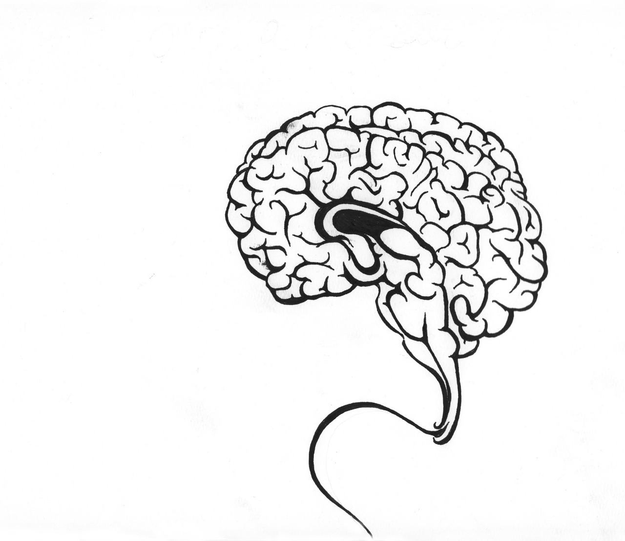 1280x1108 Human Heart Hashtag Images On Tumblr