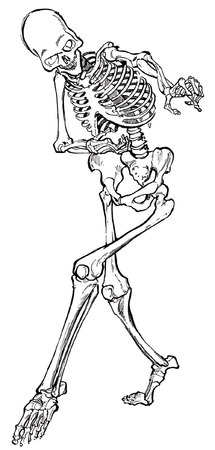 431x900 Art Anatomy Questions