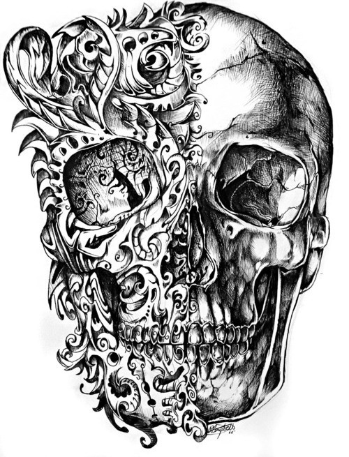 500x655 Awesome Skull Designs, Part 3 Anatomy Art, Inspiring Pictures