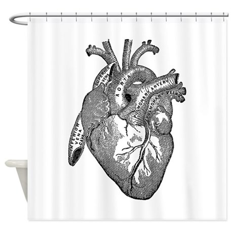 460x460 Anatomy Shower Curtains Cafepress
