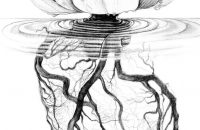 200x130 Download Heart Tattoo Anatomical