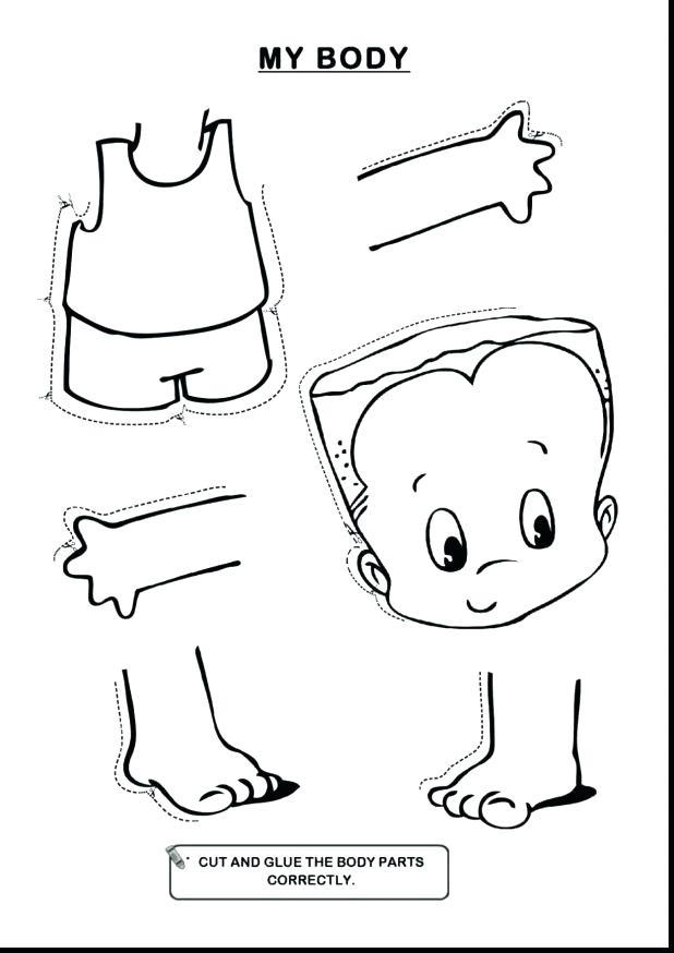 618x874 Wonderful Design Anatomical Heart Coloring Pages Real How To Draw