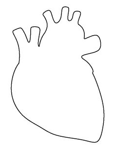 236x305 Anatomical Heart Clipart Stencil Icon