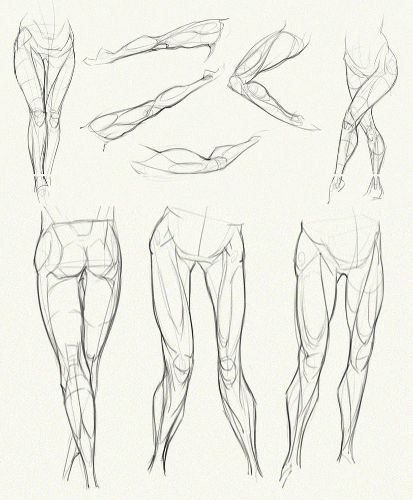 812x983 Anatomy Challenge, Part 04