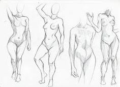 236x171 Human Anatomy Diagram Combination Human Anatomy Drawings White