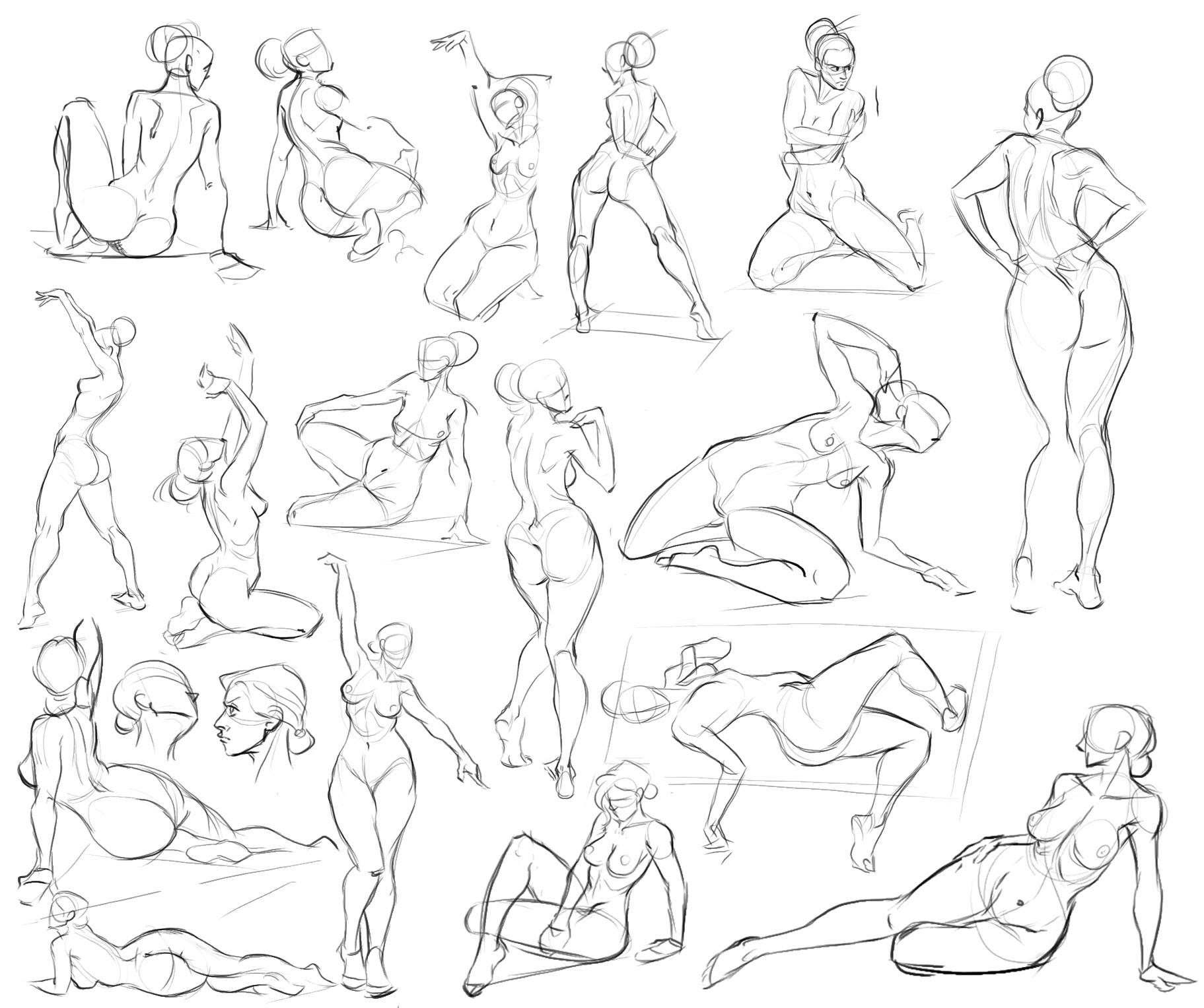 1823x1528 Pin By Heather Feinberg On Drawing Body Anatomy