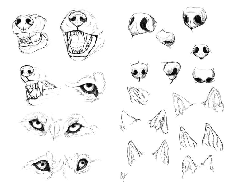 736x612 Image Result For Drawing References Face Art References