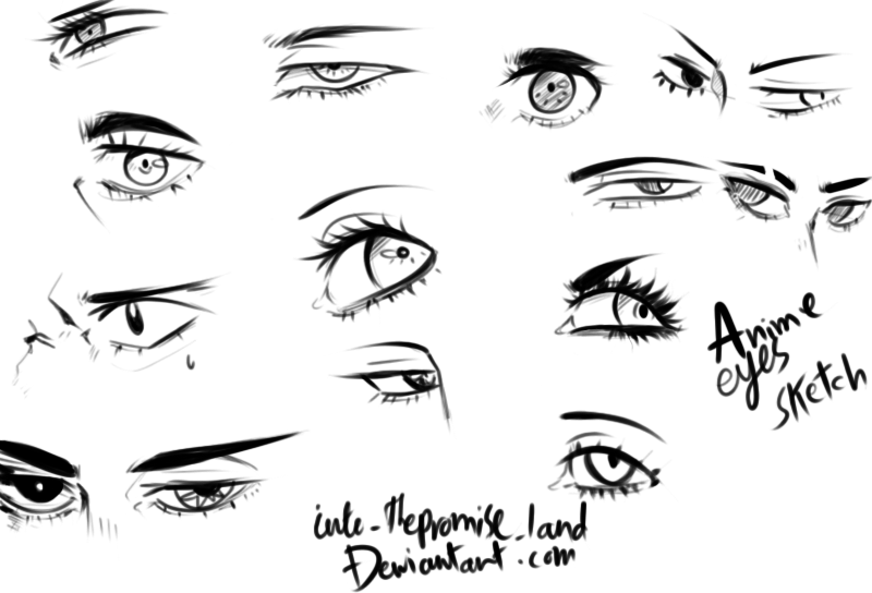 800x544 Anime Eyes Reference By Into Thepromise Land