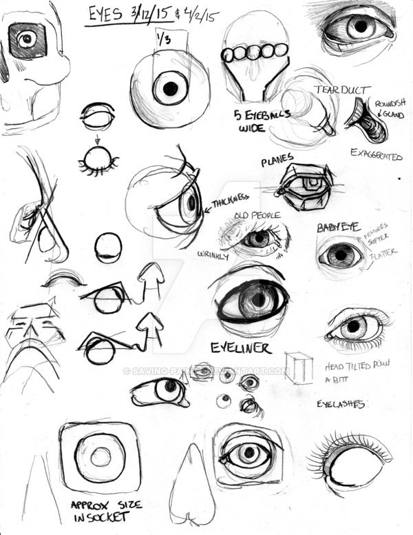 Anatomy Of The Eye Drawing at GetDrawings | Free download