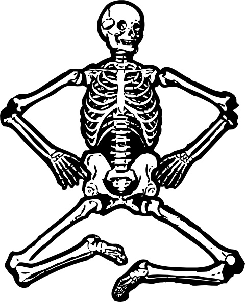 480x593 Human Skeleton Clip Art Free Vector In Open Office Drawing Svg