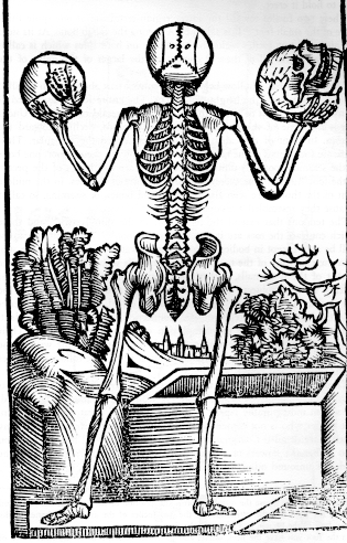 315x492 The History Of The Skeleton