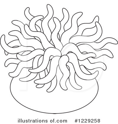 400x420 Sea Anemone Clipart
