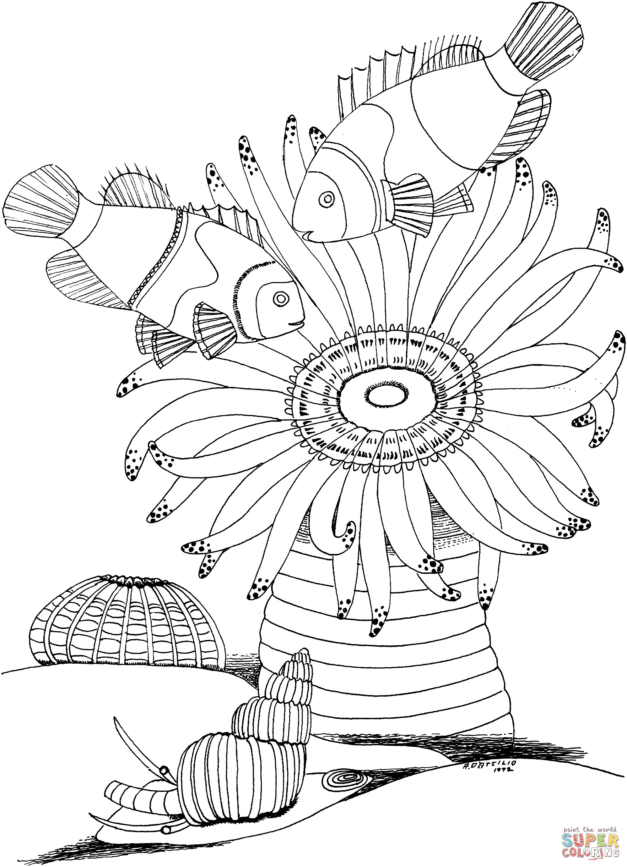 1997x2758 Sea Anemone And Snail Coloring Page Free Printable Coloring Pages