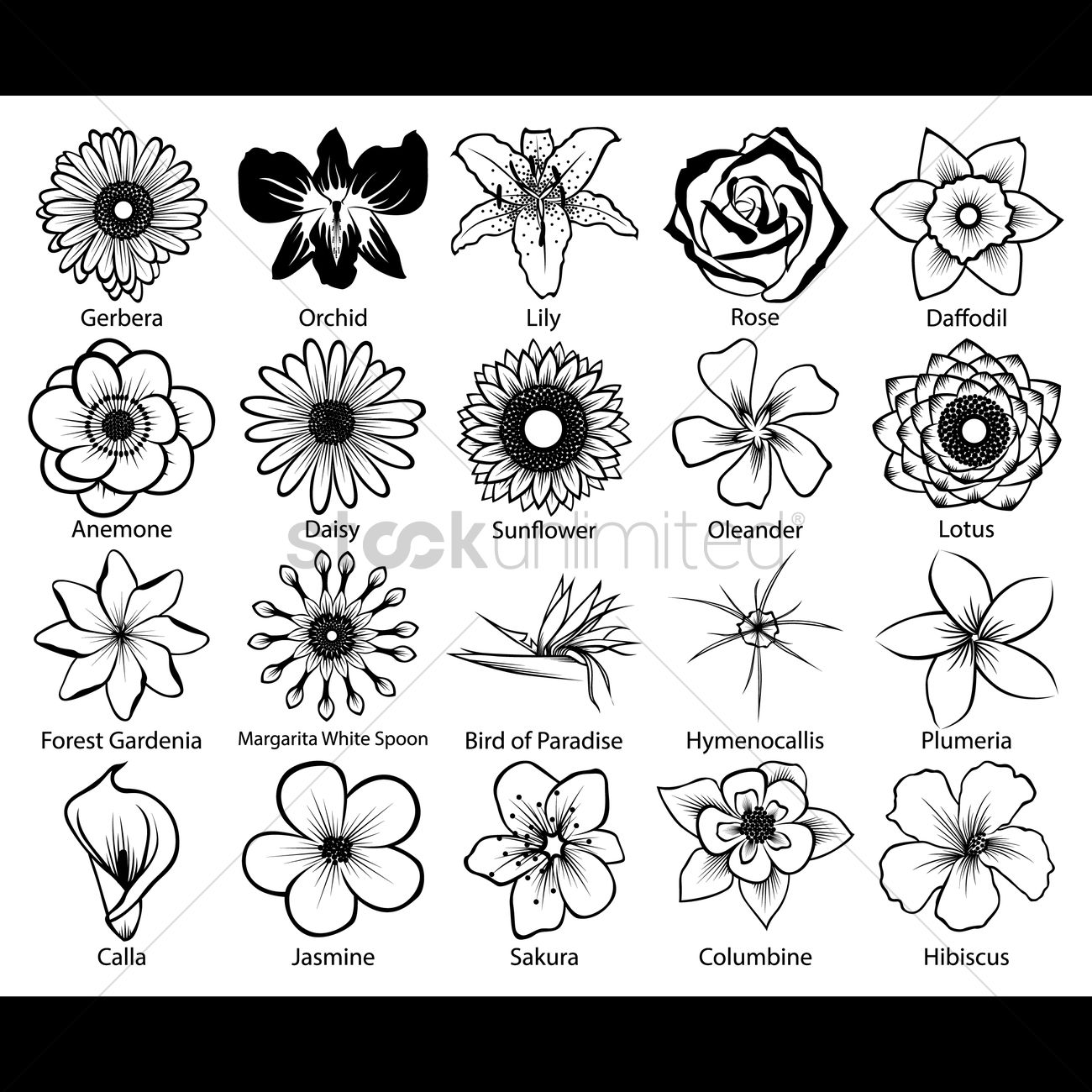 1300x1300 Collection Of Flower Icons Vector Image