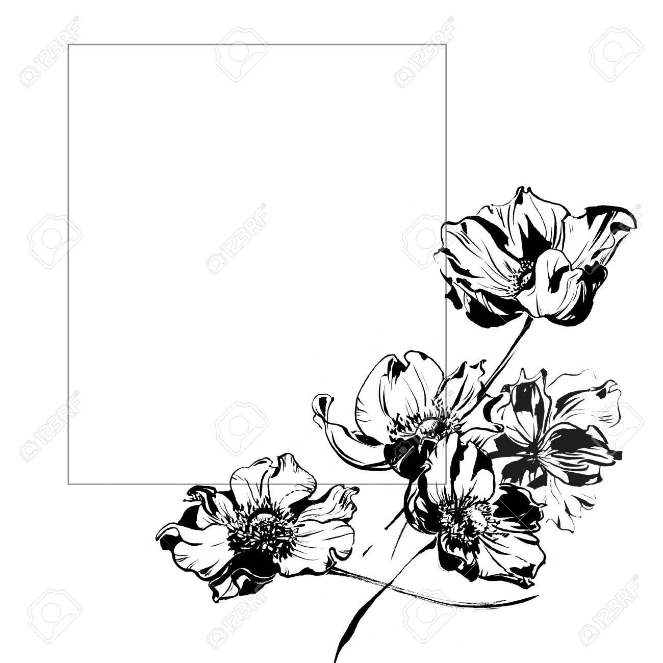 1300x1300 Hand Drawing Watercolor Beautiful Black Anemone Flowers And Leaves