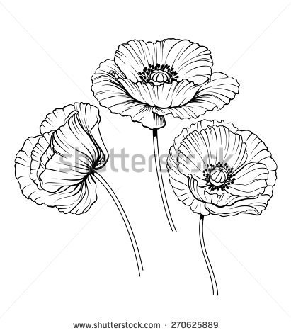 411x470 Illustrations Of Line Art Gumpast Anemone, Poppy