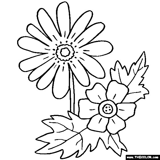 560x560 Anemone Flower Online Coloring Page