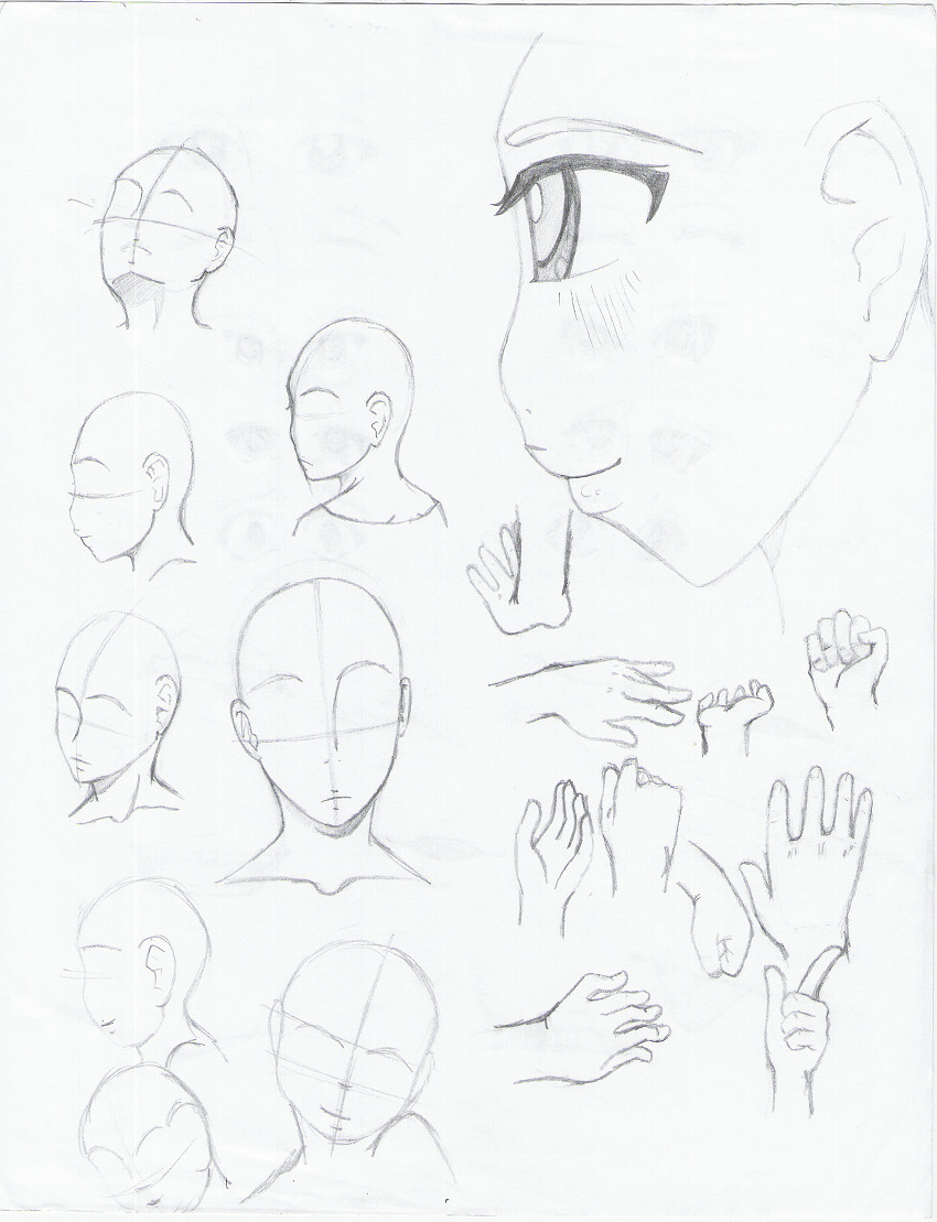 850x1109 Anime Reference Sheet Pt. 1 By Angel Baby Love