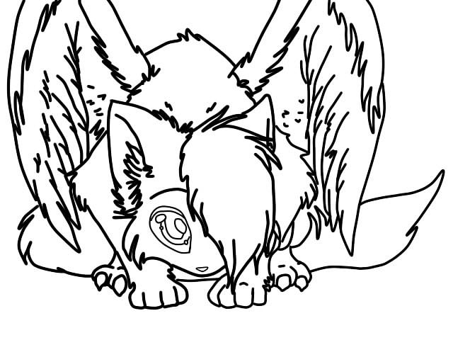 640x480 Cat Angel By Anakonda Problem