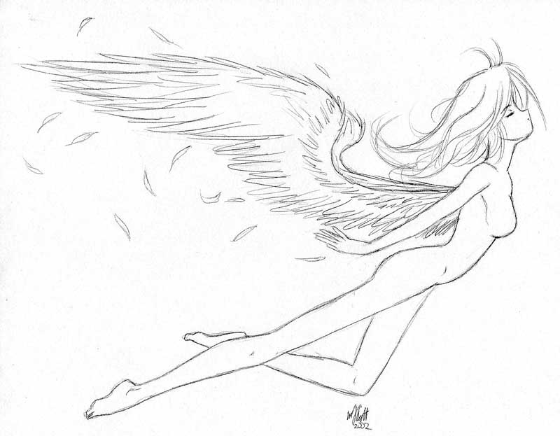 800x623 Flying Angel Thing By Phoenix San